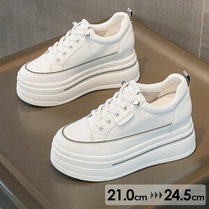 21.0-24.5 Xj[J[  Cq[ EFbWq[ C\[ bV X|[eB TCY V[Y fB[X C r  Xj[J[ 킢   JWA