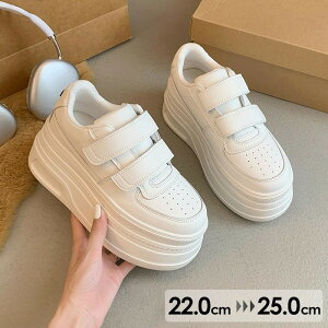 Xj[J[  Cq[ EFbWq[ C\[ X|[eB }WbNe[v TCY V[Y fB[X C r  Xj[J[ 킢   JWA