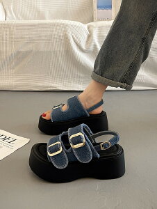 T_ 芴 T_ fB[X Ƃ  xg C  l r V[Y 傫TCY  Vv ₷ XXgbvT_  ba045n1n1c6