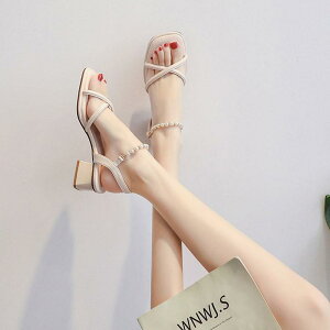 T_ NXXgbvT_ fB[X `L[q[ q[ 芴 ₷ Ƃ  ^xg C  l r V[Y Vv q[T_ TC