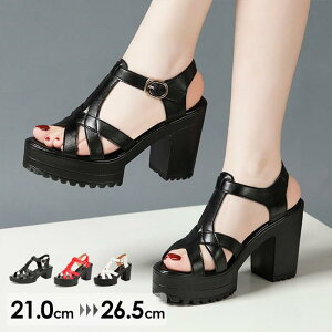 XgCvT_ q[T_  T_ T_ fB[X Ƃ ANXgbv 傫TCY TCY Sn悢  r l  C  