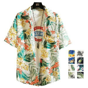 �A���n�V���c 5L 6L �j�����p�A���n�V���c �ĕ� �傫���T�C�Y ������ �����Y ���f�B�[�X �A���n�� �y�A �V���v���f�U�C�� �n���C�A�� �J�݃V���c �����V���c �I�[�v���J���[ �X�g���[�g ���j