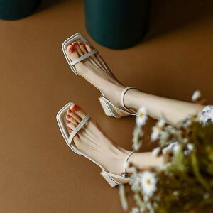 ؚXgbvT_ XNGAgE T_ `L[q[ q[ q[T_ fB[X Ƃ  xg C  l r V[Y Vv TCY Xgb