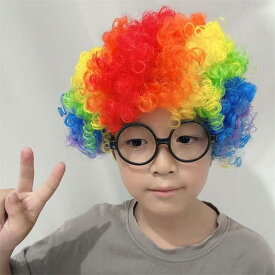 コスプレ ウィッグ アフロヘア カラフル 爆発頭 仮装 パーティー イベント ダンス 余興 応援グッズ カラーウィッグ 大きめサイズ メンズ レディース キッズ 男女兼用 ピンク 赤 青 黄 緑 紫 虹色 la055x1x1n1