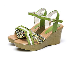 T_ O[ u[ RtH[gT_ EFbW\[ T_ nCq[ TCY q[8 ₷ Sn悢 fB[X  EFbW T_ r 