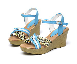 T_ O[ u[ RtH[gT_ EFbW\[ T_ nCq[ TCY q[8 ₷ Sn悢 fB[X  EFbW T_ r 