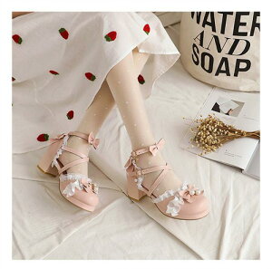 [^  B^pvX SX łC B^C q[5Z` fB[X ChC  ̎q {t   Cxg r  ʊw NXXgbv R