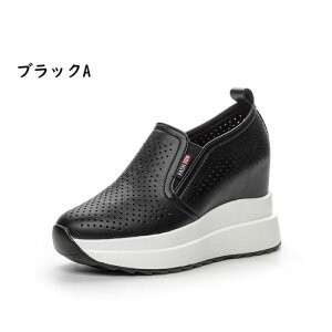 tV fB[XV[Y {v Xj[J[  Cq[ y ʋCǍD C JWA r EFbW\[ ?V[Y