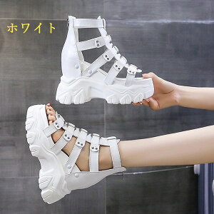 u[cT_ T_ fB[X OfBG[^[T_ T}[u[c U[V[Y EGbW\[ PUv ʋ ItBX ₷ w N[rY rr g