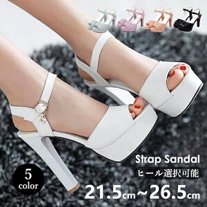 T_  `L[q[ T_ fB[X Ƃ q[T_ ANXgbv q[10cm 12cm q[I Sn悢 TCY C  l t ubN