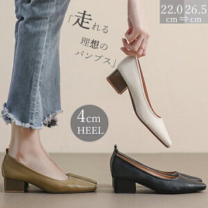 pvX [q[ XNGAgD  ubN _炩 傫TCY TCY ₷ d d L ʋ w fB[XC dv248zezen1