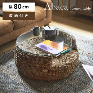 [e[u KXe[u  Z^[e[u KX ی^ AoJ VRf ][g EW ze AWA i` ۂ ~` [I 80cm 35cm NRS-550 rO q