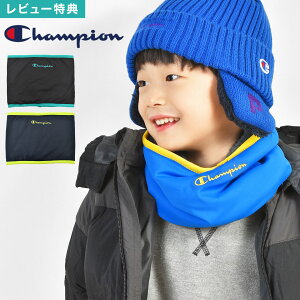 `sI Champion lbNEH[}[ LbY q WjA j̎q qǂ ǂ X|[c uh L R {A o[Vu Xk[h }t[ ~ g h h ʊw ʉ 