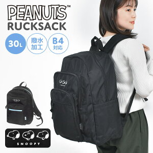 bN e 30L y s Xk[s[  SNOOPY bNTbN fB[X  q w Z ʊw A4 B4 l 킢 Vv PC[  X|[c AEghA  ubN