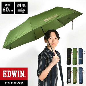 ܂肽ݎP EDWIN GhEB Y ܂ݎP RpNg ɋ ɋ  v y P ϕP 60cm   ubN lCr[ I[u J[L jp 傫 傫  V