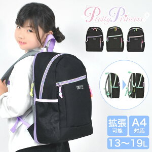 LbYbN ̎q bN LbY g @\ e 13L 19L veBvZX q A4 PC[ w q bNTbN 킢 pretty princess Vv  y n[lXt 