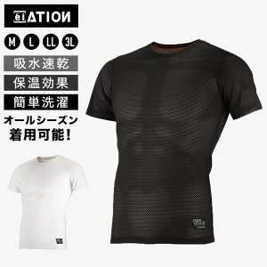 Ci[ Y z g  N[lbN  TVc @\ N[^[bV h g  ۉ ʋC I[V[Y tďH~   A_[Vc A_