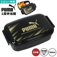 弁当箱 1段 500ml レンジ対応 食洗機対応 食器洗い機対応 日本製 仕切り付き ランチボックス 一段 お弁当…