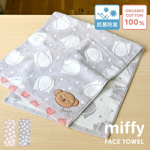 tFCX^I miffy ~btB[  100%   킢 LN^[ I[KjbNRbg  z G G  ӂӂ by ԕ AbvP {X  
