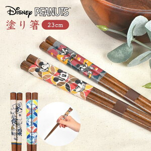  Xk[s[ fBYj[ ͂ { VR a  23cm  킢  j h蔢 LN^[ ObY SNOOPY Disney ~bL[ ~j[ Lb`ObY Jg[ ؐ ͂ l