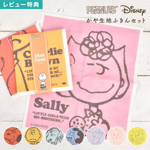 fBYj[ Disney Xk[s[ SNOOPY ӂ z  ᒠ Lb`NX D 唻 { z  100 H@ @ Zbg }[ fB Lbg 񕨌 