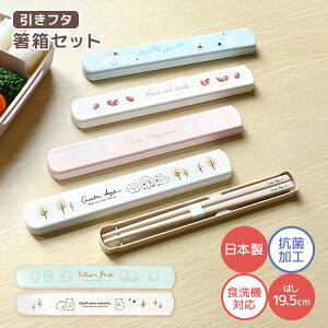  Zbg q w H@Ή l q ͂ RۉH ٓ ͂ 19.5cm { P[X XCh OSK I[GXP[  P[Xt  Ȃ  킢 X 