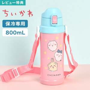  LbY  n`  킢 LN^[ ̎q w ct wZ ʉ ʊw XeX{g  ^b` ۗ y 800ml | V_[ Xgbvt 