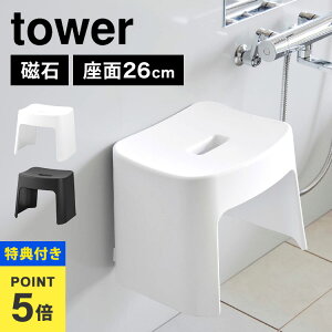 yTzR 􂢂₷}OlbgCCX SH26 ^[ tower 1651 1652 C֎q oX`FA 26cm C ӂ낢 zCg ubN  Vv X^CbV  }Olb