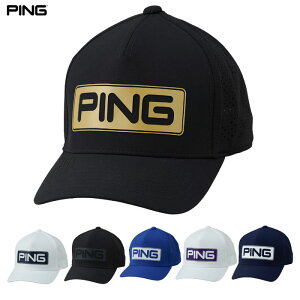 PING s HW-T2501 cA[Lbv Y Xq StLbv 2025H~f {Ki