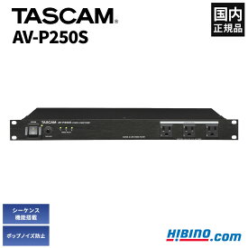 TASCAM AV-P250S パワーディストリビューター/コンディショナー 電源モジュール ノイズフィルター