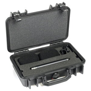 DPA Microphone ST4011A �R���f���T�[�}�C�N �X�e���I�y�A�Z�b�g | �P��w���� ���R�[�f�B���O 2�{�Z�b�g �������K�i ���S��5�N�ۏ�
