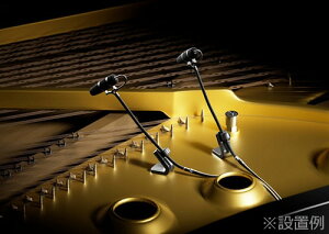 DPA Microphones 4099 CORE+ 4099-DP-1-101-P 4099P �s�A�m�p�s�b�N�A�b�v �}�C�N�Z�b�g | �s�b�N�A�b�v �R���f���T�[�}�C�N �O�[�X�l�b�N �����x ������ ���� �^�� ���R�[�f�B���O