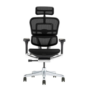 Ergohuman PRO2 �X�^�W�I�p �f�X�N�`�F�A �u���b�N �n�C�o�b�N �g�ݗ��čς�