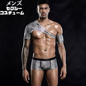 メンズコスプレ衣装 セクシーランジェリー コスチューム 大人 メンズ 衣装 コスプレ セット ハロウィーン コスプレ 仮装 衣装 大人 セット メンズコスプレ 男性用 文化祭 なりきり コス 男性 大人用面白い 余興 誕生日 仮装 変装 男性 ハロウィン衣装 蛇柄翌日配達