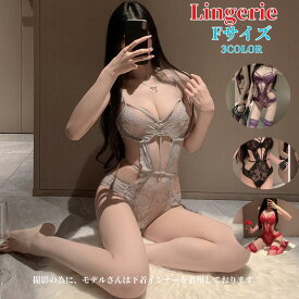 セクシー ランジェリー 超過激 セクシー テディ エロい下着 穴あき下着 テディ セクシーランジェリー セクシー 大きいサイズ セクシー コスチューム セクシ- ランジェリー ベビードール ランジェリー エロい 下着 セクシー メール便対応可　送料無料