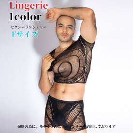 メンズ セクシーコスチューム セクシーランジェリー 網タイツ スケスケ 透ける コスプレ衣装 大人用 ワンピース sm スケスケ エロカワ 悩殺 セクシーコスチューム仮装 パーティー 仮装 結婚式 余興男性 男性用 男 黒 面白い おもしろ衣装 大人 セクシー バレンタイン