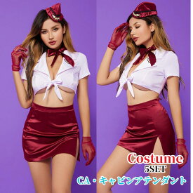 コスプレ キャビンアテンダント セクシー 下着 コスチューム CA ミニ ミニスカート ベビードール コスプレ衣装 大人用 セクシーランジェリー ハロウィン スリット スケスケ 透け感 余興 かわいい エロカワ 悩殺 送料無料