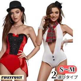 セクシー ランジェリー 超過激 セクシー テディ エロい下着 穴あき下着 ベビードール セクシーランジェリー セクシー 大きいサイズ セクシー コスチューム セクシ- ランジェリー ベビードール ランジェリー エロい 下着 セクシー メール便