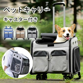 ペットキャリーバッグ 折りたたみ 大きめ リュック ペットキャリー バック ペットバッグ キャリーバッグ 猫用 犬用 ペット用品 小型犬 中型犬 トリミング 防災 通院 病院 ドライブ 避難用 メッシュ 軽量 折り畳み イヌ ねこ ネコ