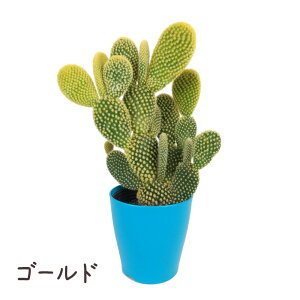 oj[JN^X 3.5yϗtA T{e A CeA O[  fXN e[u  킢 x_ K[fjO v[g l Iu Iv`A IveB