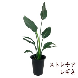 Xg`AEMl 6yϗtA 6  V CeA JƏj Mtg v[g ړ]j  Ă₷ S JXj Vzj Ɋy v  rO  