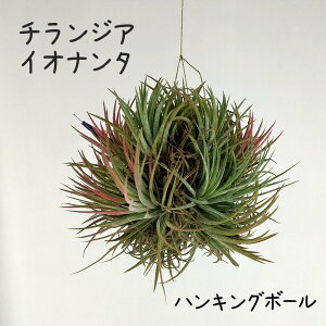 `WAECIi^@nLOyGAvc ϗtA T{e A CeA O[  fXN e[u  킢 V Mtg a x_ K[fj