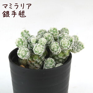 }~AE{yϗtA T{e A CeA O[  fXN e[u  킢 V Mtg a x_ K[fjO v[g l Iu ~