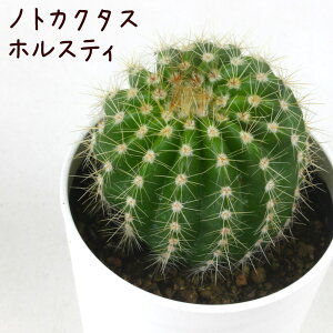 mgJN^XEzXeByϗtA T{e A CeA O[  fXN e[u  킢 V Mtg a x_ K[fjO v[g l I