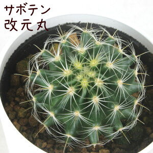 T{eEہyϗtA T{e A CeA O[  fXN e[u  킢 V Mtg a x_ K[fjO v[g l Iu ~j 
