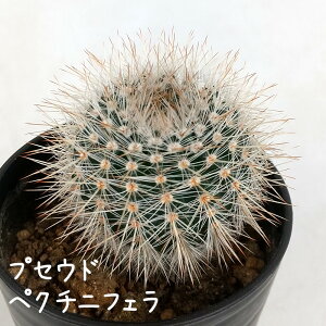 rrAEہyϗtA T{e A CeA O[  fXN e[u  킢 V Mtg a x_ K[fjO v[g l Iu ~j 