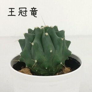 T{eEyϗtA T{e A CeA O[  fXN e[u  킢 V Mtg a x_ K[fjO v[g Iu ~j z