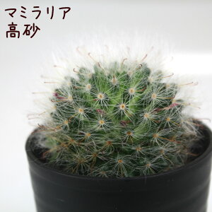 }~AEyϗtA T{e A CeA O[  fXN e[u  킢 V Mtg a x_ K[fjO v[g l Iu ~j