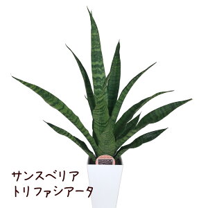 TXxAEgt@VA[^ 5yϗtA  CeA O[ Mtg v[g TZxA A 킢 Iu fXN e[u gt@XLA[^z