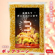 【10%OFFクーポン！2個購入 どの商品でも可】ポップコーン 無添加 800g 1000円ポッキリ 食品 送料無料 3…